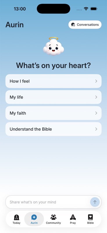 Aurin conversation home with topics and a message field